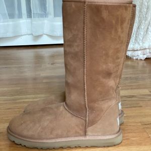 Ugg Tall Boot-Chestnut